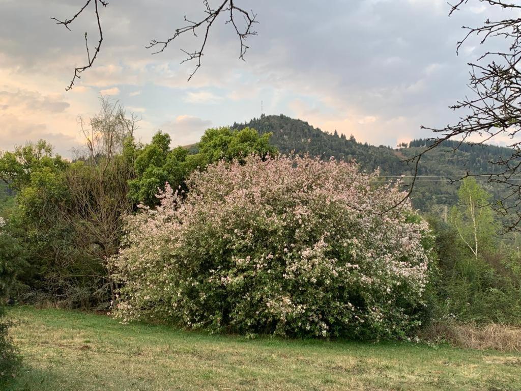 Laragh-On-Hogsback Villa Exterior photo